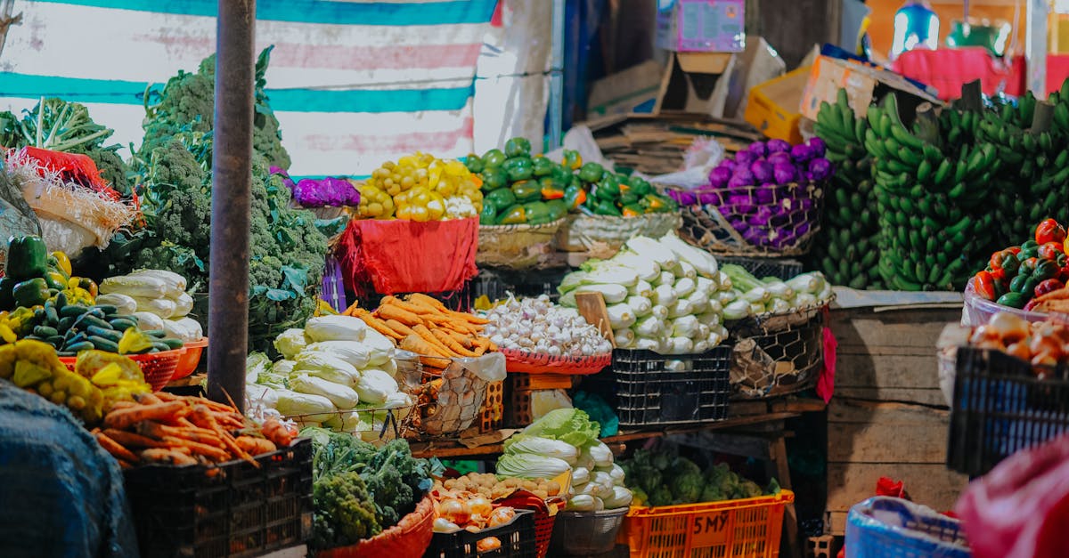 découvrez un monde dynamique et riche d'opportunités avec notre marché, où vous pouvez explorer, acheter et vendre des produits variés. rejoignez notre plateforme pour profiter des meilleures offres et connecter avec une communauté passionnée.
