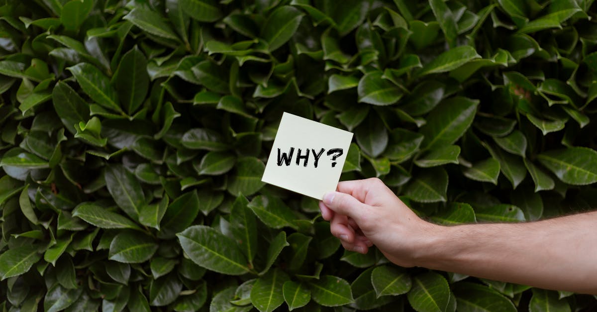 découvrez les raisons qui sous-tendent l'importance des 'whys' dans notre compréhension du monde. explorez comment ces questions essentielles peuvent transformer votre perspective et enrichir vos prises de décision.