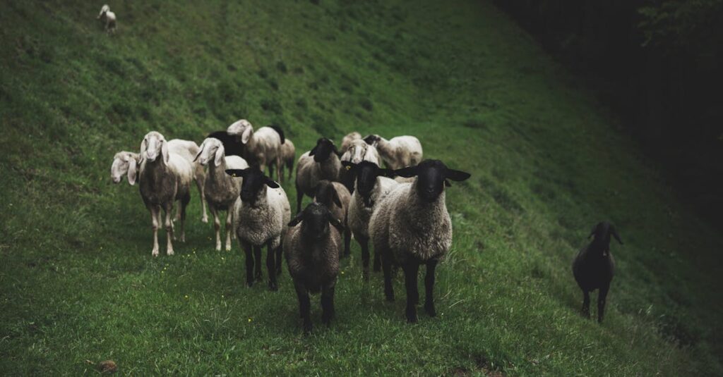 découvrez le concept de macro-environnement et son impact sur les entreprises. analysez les facteurs économiques, politiques, sociaux et technologiques qui influencent le marché et la stratégie des organisations.