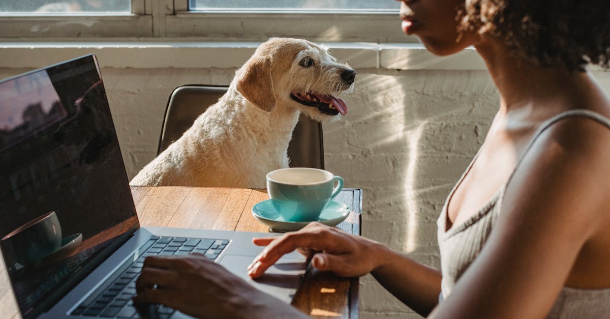 découvrez les secrets de la propriété de domaine, apprenez comment gérer et protéger votre nom de domaine, et explorez les avantages d'être un propriétaire de domaine. maximisez votre présence en ligne et boostez votre activité grâce à des conseils pratiques et des ressources utiles.