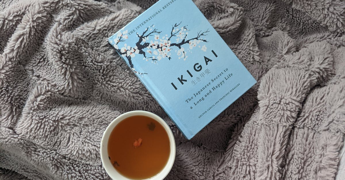 découvrez l’ikigai, une philosophie japonaise qui aide à trouver sa raison d’être et à donner du sens à sa vie. apprenez comment identifier votre ikigai pour cultiver bonheur, motivation et épanouissement au quotidien.