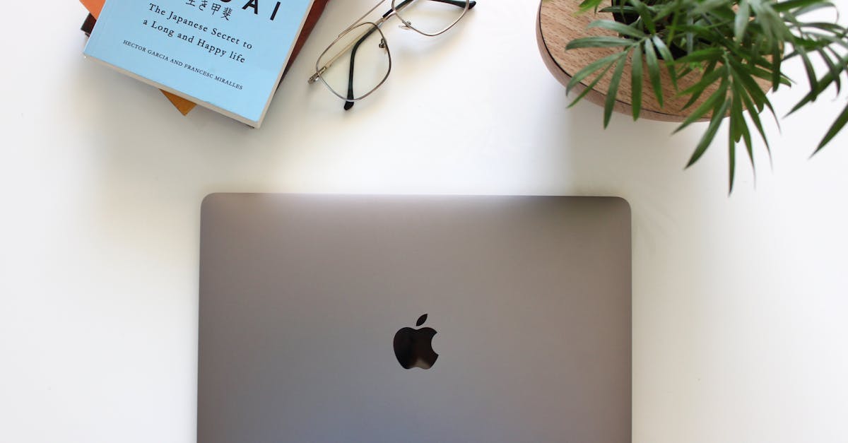 découvrez l'ikigai, un concept japonais qui aide à trouver le sens de la vie en harmonie avec vos passions, vos talents, vos valeurs et vos aspirations professionnelles.