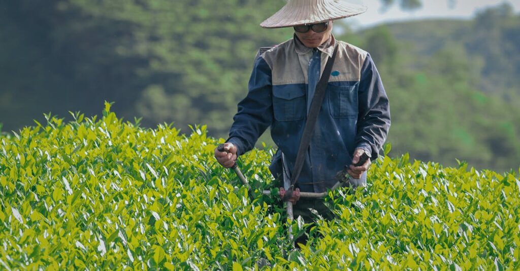 découvrez les différents statuts juridiques adaptés aux entreprises agricoles, leurs avantages, inconvénients et critères de choix, pour réussir la création et la gestion de votre activité agricole.