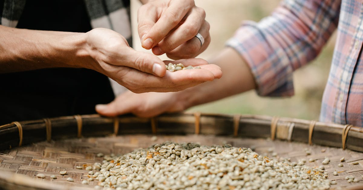 découvrez le fonctionnement, les avantages et l'impact des coopératives : des organisations gérées collectivement, favorisant l’entraide, la participation démocratique et le développement local. tout savoir sur le modèle coopératif.