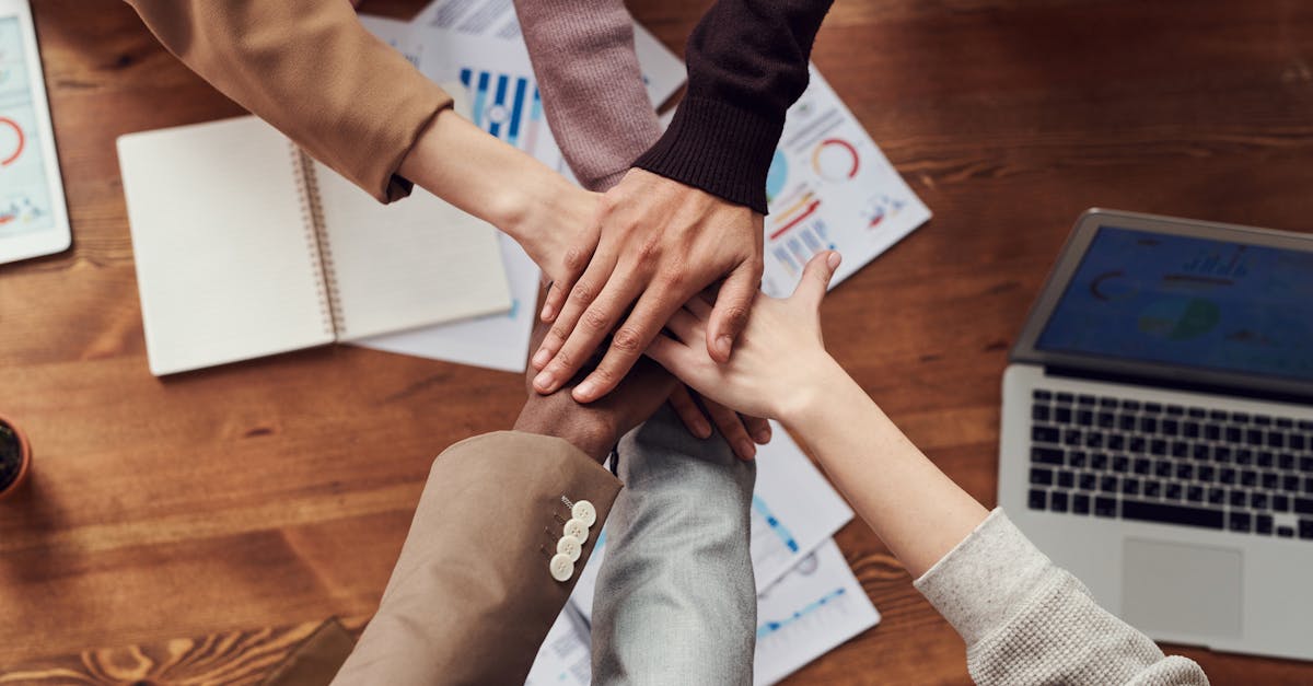 découvrez comment élaborer une stratégie de niche efficace pour vous démarquer de la concurrence et attirer une audience ciblée. conseils, exemples et méthodes pour réussir dans un marché de niche.