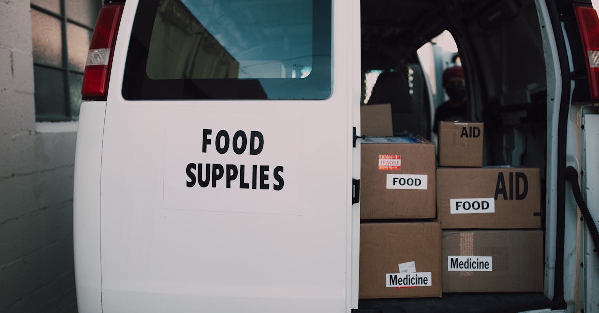 découvrez notre service de provision : une solution efficace pour répondre à tous vos besoins en matière d'approvisionnement, de gestion et de livraison, avec rapidité et professionnalisme.