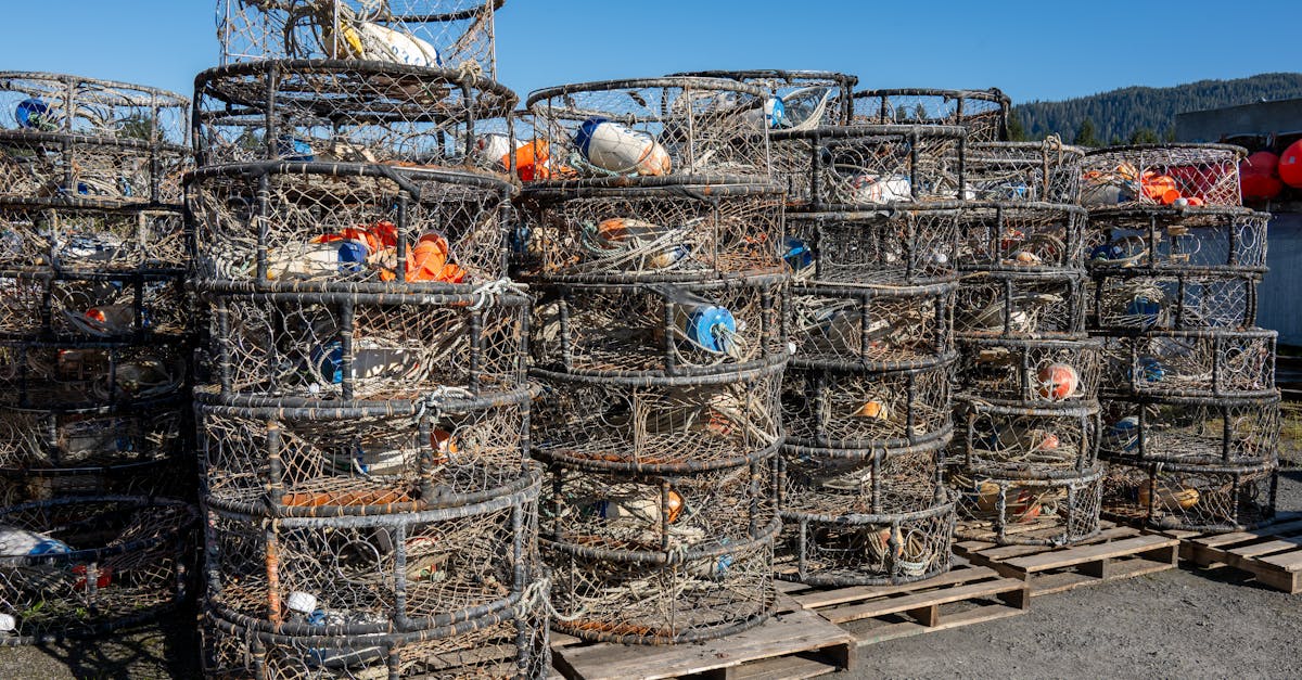 découvrez les différents types de canaux de distribution, leur rôle dans la chaîne logistique et comment choisir la meilleure stratégie pour optimiser la vente de vos produits ou services.