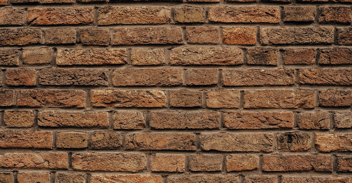 découvrez le métier de drywaller : missions, qualifications requises, techniques d'installation et de finition des cloisons sèches pour obtenir des murs parfaits dans tous vos projets de construction ou de rénovation.