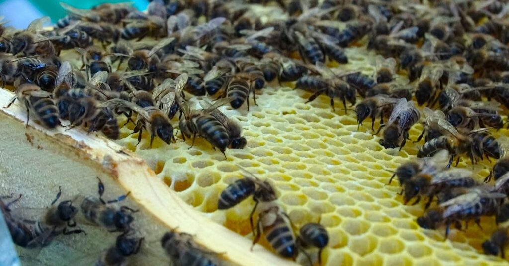 découvrez le concept de product lifecycle : ses étapes clés, son importance pour la gestion de produits, et comment optimiser chaque phase pour assurer le succès et la pérennité de vos produits.
