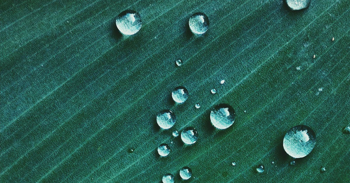 découvrez l'importance de la transparence fiscale : définitions, enjeux pour les entreprises et états, et bonnes pratiques pour assurer une gestion financière éthique et conforme à la législation.