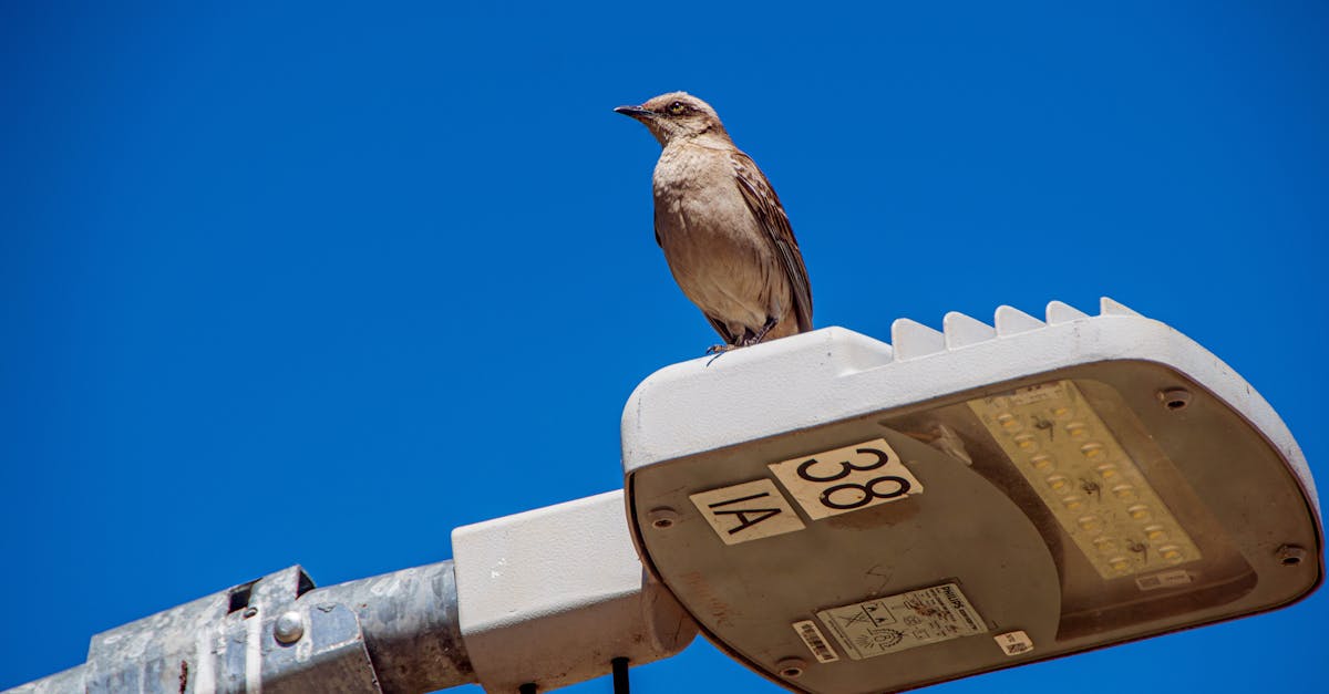 apprenez à créer une association seul facilement grâce à notre guide complet et étape par étape.