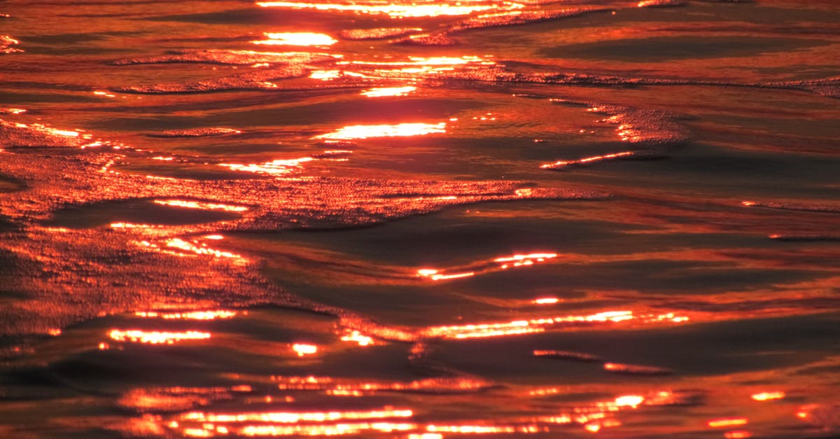 découvrez tout sur la prime de fin de contrat : conditions d'éligibilité, montant et démarches pour en bénéficier à la fin de votre contrat de travail.