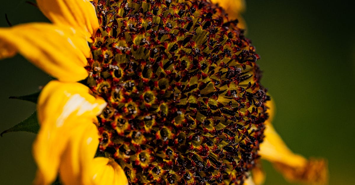 découvrez nos astuces efficaces pour booster votre croissance sur instagram, augmenter votre audience et maximiser votre engagement.