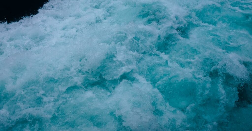 Les forces de porter : comprendre leur impact sur les performances sportives découvrez les forces de porter, un outil essentiel d'analyse stratégique pour évaluer la compétitivité de votre entreprise et identifier les leviers de croissance.