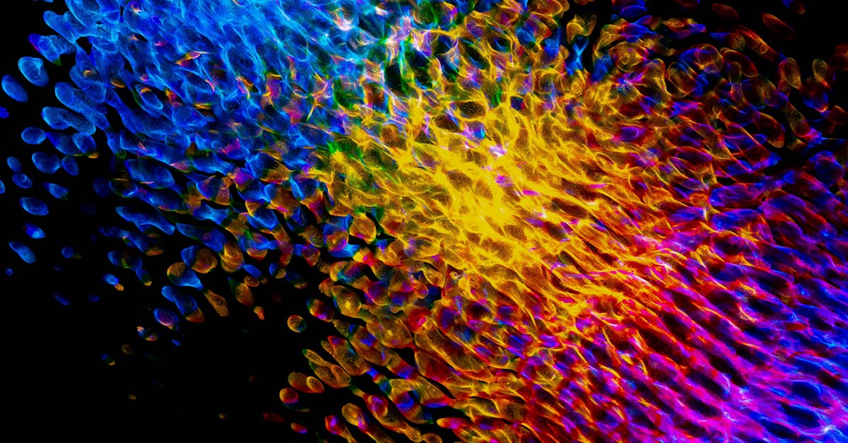 modèle de procuration simple et efficace pour déléguer vos pouvoirs en toute sécurité. téléchargez et personnalisez facilement votre document légal.