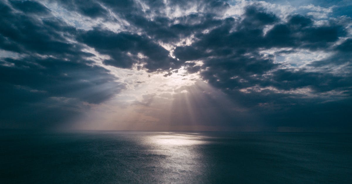 découvrez le bsa air, une gamme de carabines à air comprimé alliant précision, puissance et durabilité pour toutes vos sessions de tir.