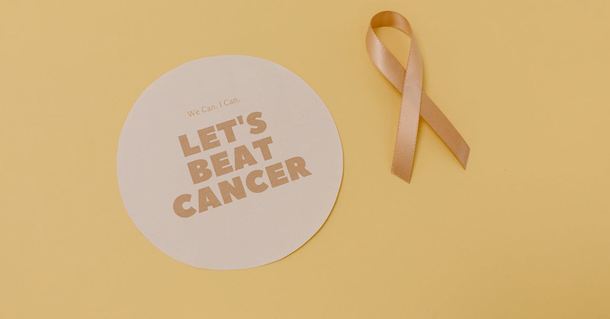 découvrez les clés du succès pour votre campagne de collecte de fonds et maximisez vos résultats grâce à nos stratégies efficaces et conseils pratiques.