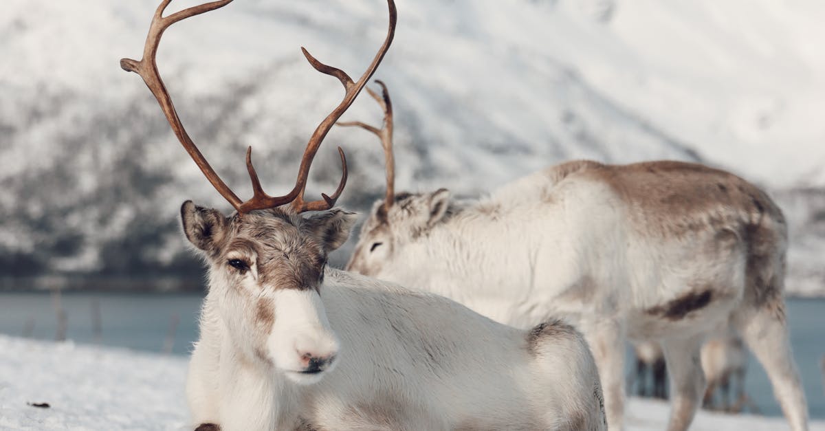 découvrez notre analyse complète de jurisociete en 2025, incluant les tarifs, fonctionnalités et avantages pour choisir la meilleure offre juridique adaptée à vos besoins.