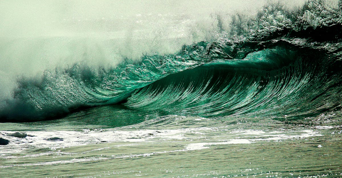 découvrez les avantages d'un compte courant d'actionnaire : gestion simplifiée des flux financiers, optimisation de la trésorerie et transparence des opérations entre actionnaires.