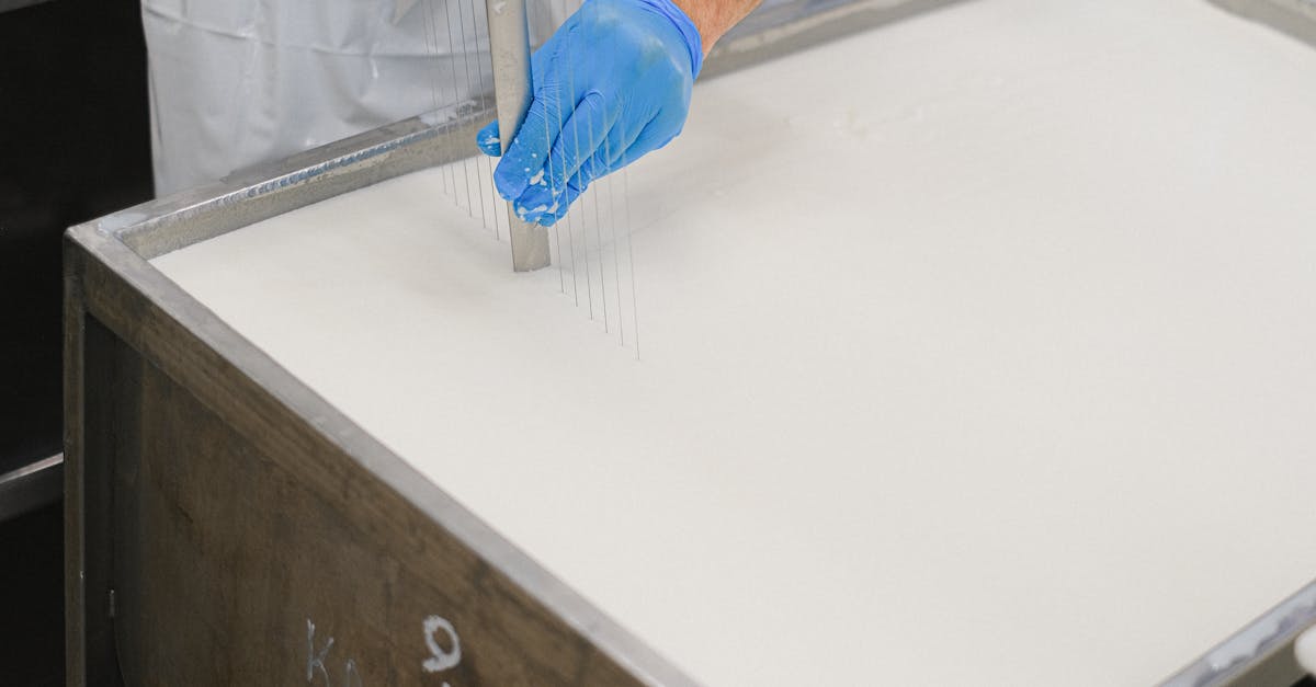 comprenez la tva sur base comptable : principes, fonctionnement et obligations pour une gestion fiscale optimisée.